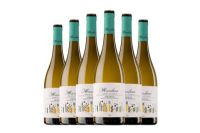 Mariluna Verdejo & Macabeo : une étoile espagnole des vins blancs